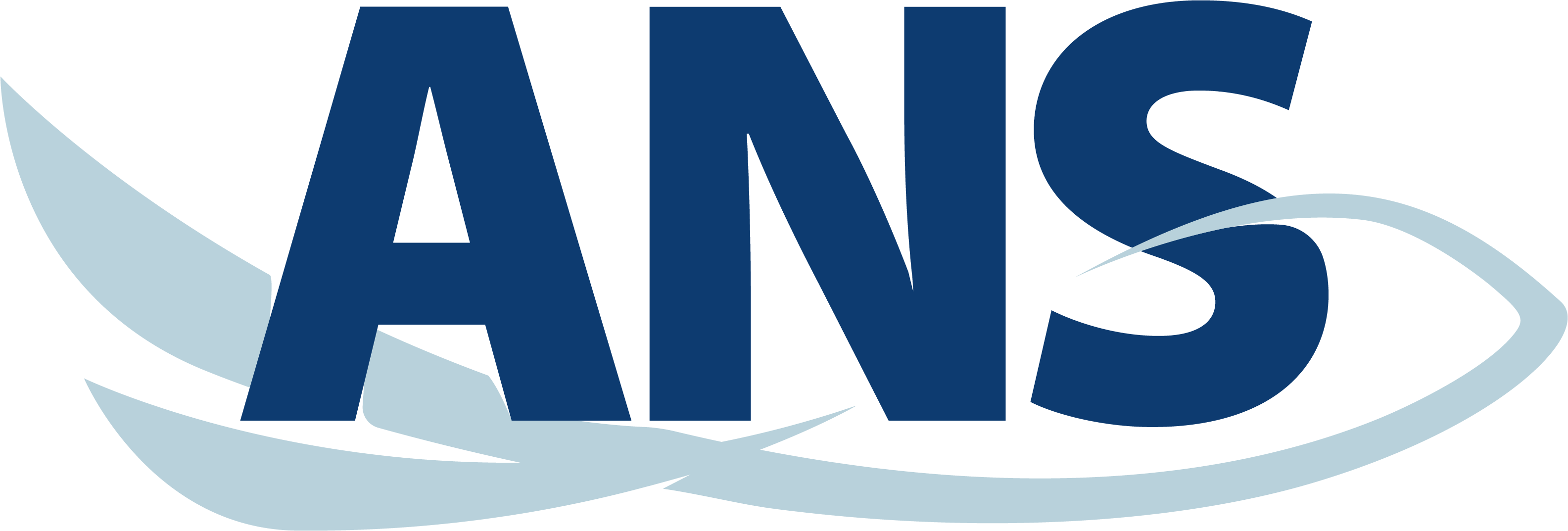 ANS_Logo_Color@4x.png